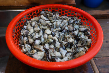 Korean seafood. very fresh oysters