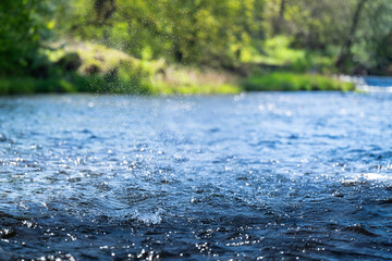 Wild water in the background of green nature