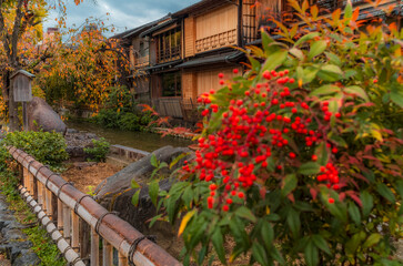 Wooden old houses and colorful trees in autumn along the Shirakawa canal in Kyoto