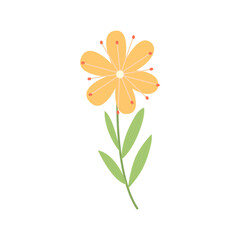cute spring yellow flower on white background. Hand drawn flower for decor, print, clipart, sticker and easter.