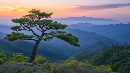 Obraz premium Sunrise over mountain range, lone pine tree. Peaceful landscape for travel brochures