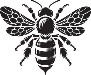 bee on a white background