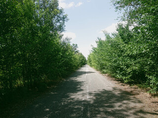 old asphalt road green trees around