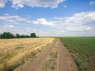 field, road, wheat, clouds, farming