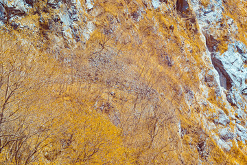 Infrared photography, a rocky, mountainous landscape featuring various shades of brown and yellow