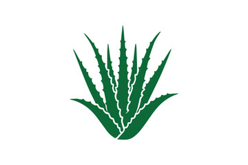 Fototapeta premium black and white simple aloe vera vector silhouette 