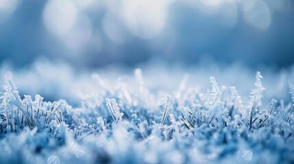 Frosty Grass with Delicate Crystals in a Sparkling Winter Landscape, Capturing the Beauty of Ice and Chill in Natural Setting, Ideal for Seasonal Themes and Imagery