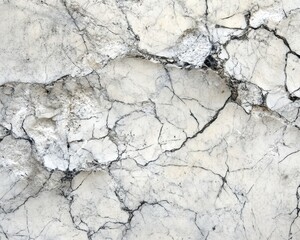 White Marble Texture With Extensive Cracking