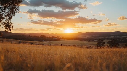 Golden sunset over rural landscape with tall grass in foreground.