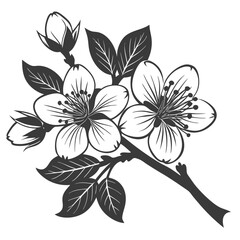 Striking Cherry Blossom Branch With Sharp Petals High Quality Editable Vector Design And Illustration