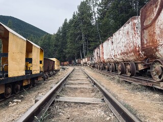 Obraz premium Vagoneta