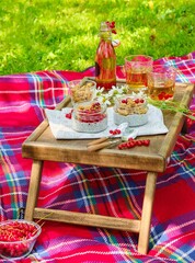 Picnic with chia pudding with granola and red currants in glass jars and iced tea in a bottle on a wooden table on a red checkered blanket in the garden.
