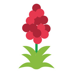 Vector Design Quinoa Quotient Icon Style