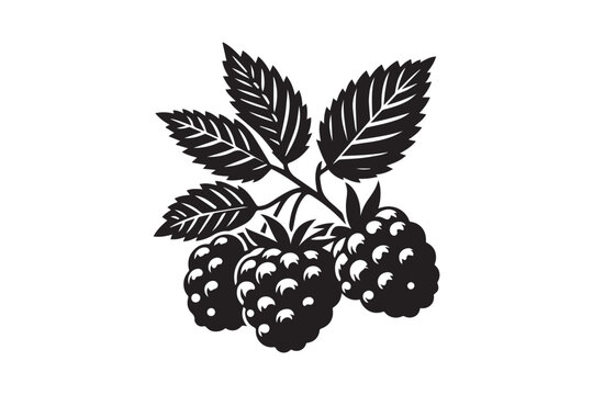  black and white simple blackberry vector silhouette 