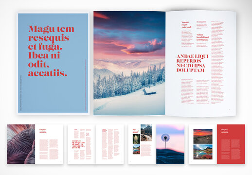 Colorful Editorial Design