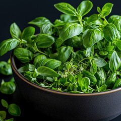 A ceramic bowl filled with freshly plucked basil leaves and oregano.