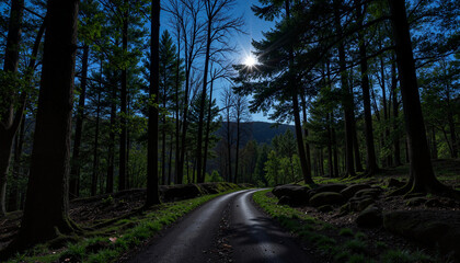 Fototapeta premium Moonlit forest path illuminating tranquil woodland scene, Earth Hour