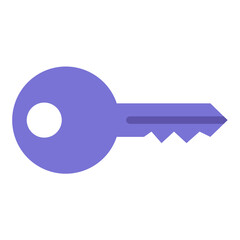 Vector Design Key Icon Style