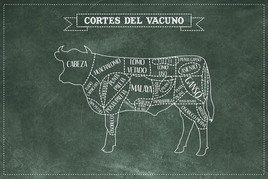 Gu&iacute;a de corte de carne de Vacuno