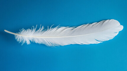 Obraz premium Feather Quill pen