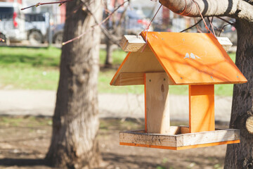 Bird feeders. Feeding birds in the forest. Birdhouse on a tree. Caring for animals in the wild.