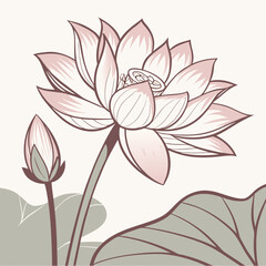 pink lotus flower