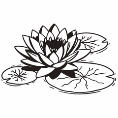 lotus flower isolated on white background