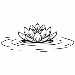 water lily flower