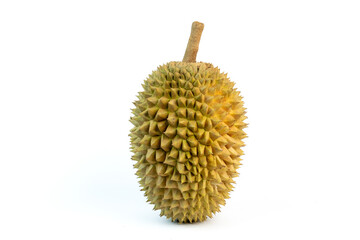 Durian fruit shown whole with its characteristic spiky skin on a white background, highlighting its exotic appearance and texture.