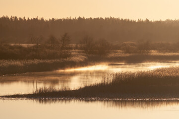 Early morning sunlight in the wetlands of a river delta in spring in Pori, Finland
