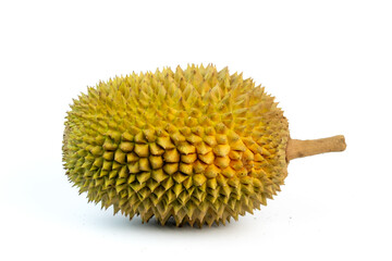 Durian fruit shown whole with its characteristic spiky skin on a white background, highlighting its exotic appearance and texture.
