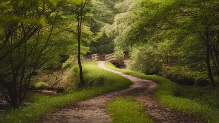 Obraz premium A serene path winds through lush greenery, leading to a charming wooden bridge, evoking tranquility and connection with nature.