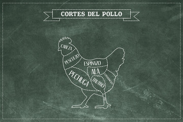 Guía de corte de carne de pollo, vector. © Cristian Valderas