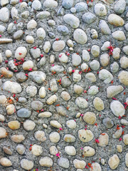 Stone pathway with scattered pink flower petals
