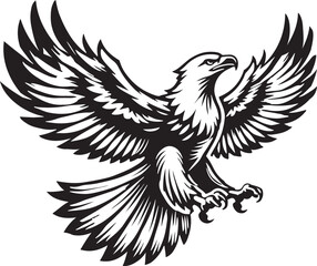 A soaring eagle with vector and line art silhouette illustration white background