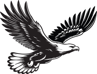 A soaring eagle with vector and line art silhouette illustration white background