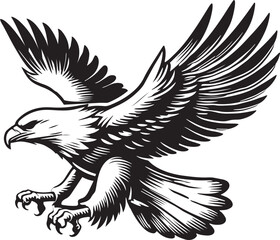 A soaring eagle with vector and line art silhouette illustration white background