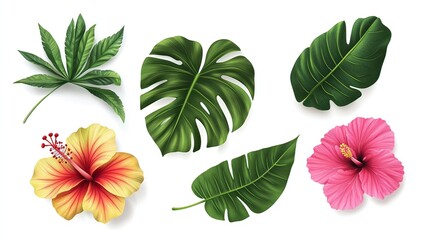 Fototapeta premium Tropical flowers leaves design elements white background