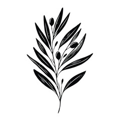 Adobe Illustrator Artwork, Elegant Floral Branch Illustration. Olive illustration, laurel wreath vector, black olives on a branch. Olive branch with leaves and berries. Black and white vector 