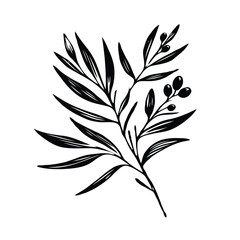 Adobe Illustrator Artwork, Elegant Floral Branch Illustration. Olive illustration, laurel wreath vector, black olives on a branch. Olive branch with leaves and berries. Black and white vector 