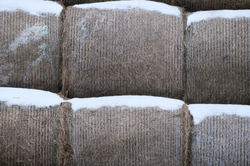 hay bales covered with snow background