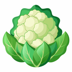 green cabbage isolated on white