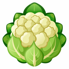 green cabbage isolated on white