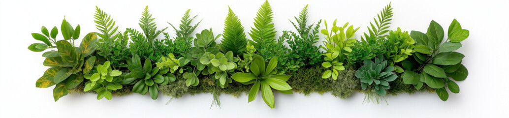 Lush vertical garden wall decoration featuring various green plants, creating vibrant and refreshing atmosphere. Perfect for enhancing indoor spaces with natural beauty