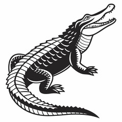 crocodile on white