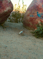 Empty Bottle in the Dirt