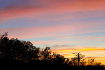 Sunset over the Woods