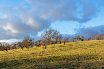 Fototapeta premium Sersheim Landschaft