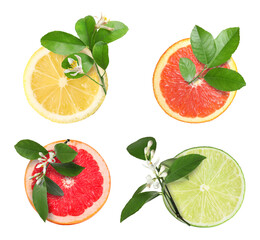 Different citrus fruits and plant branches isolated on white, set