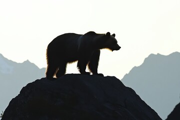 Majestic Silhouette of a Bear Standing on a Rock Against a Scenic Mountain Background During Sunset, Highlighting Nature's Beauty and Wild Life